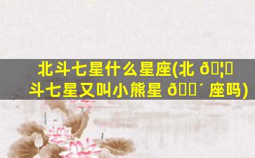 北斗七星什么星座(北 🦟 斗七星又叫小熊星 🌴 座吗)